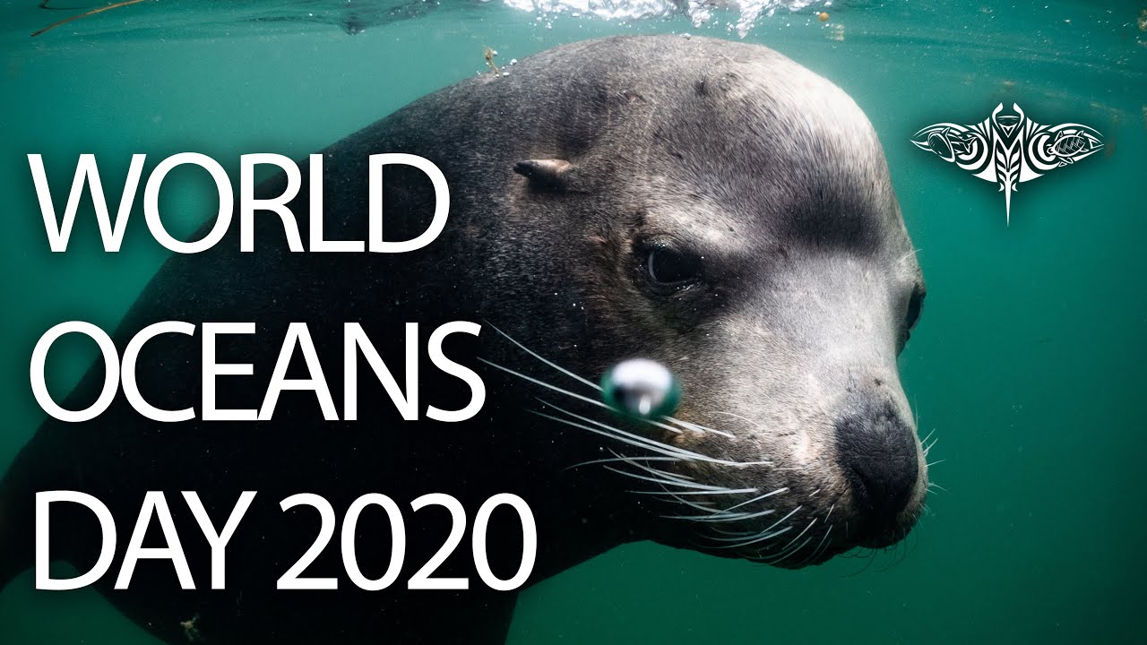 World Oceans Day 2020 | Micronesian Conservation Coalition | Our Ocean