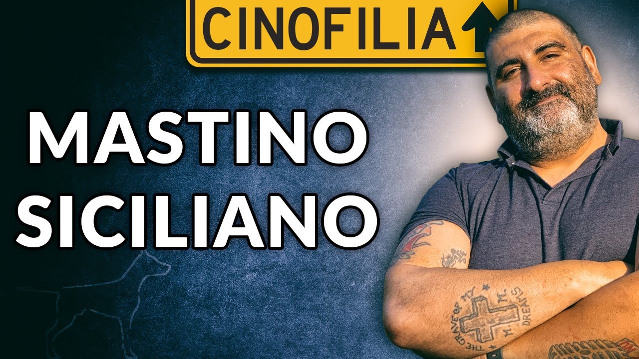 Il Mastino Siciliano
