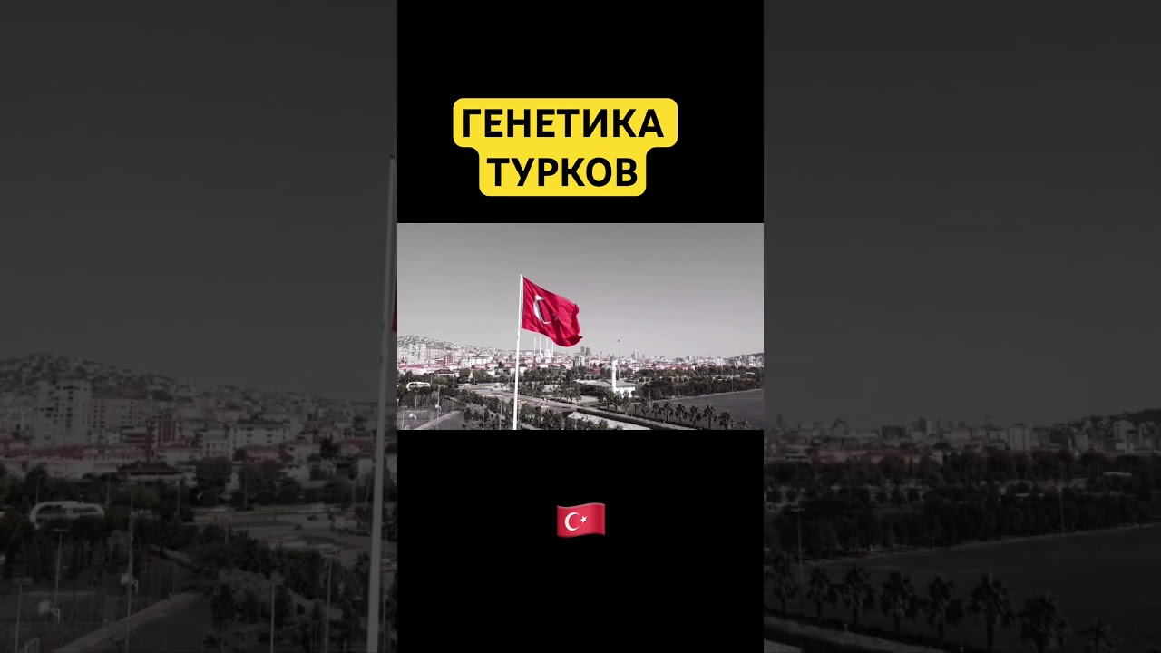 АРМЯНСКИЕ ГЕНЫ И ТУРКИ