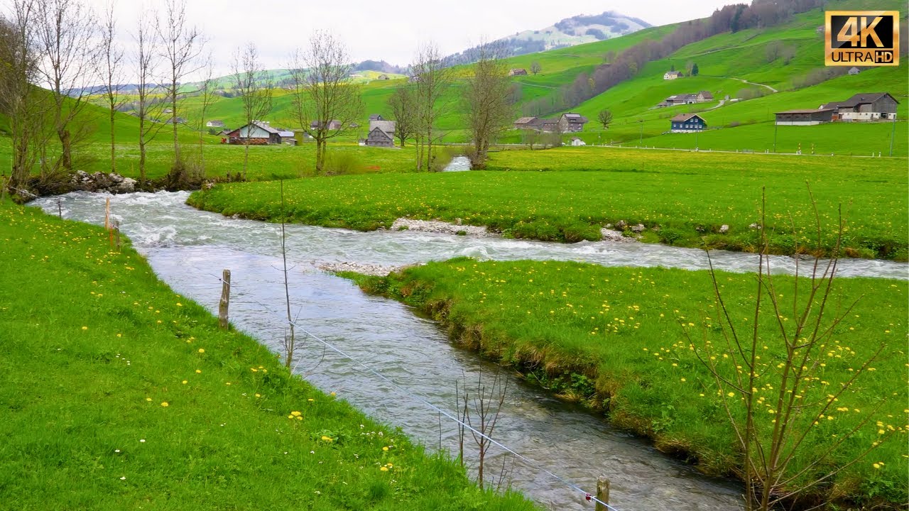 Appenzell Switzerland 🇨🇭 the Valley of Rivers | #swiss #swissview