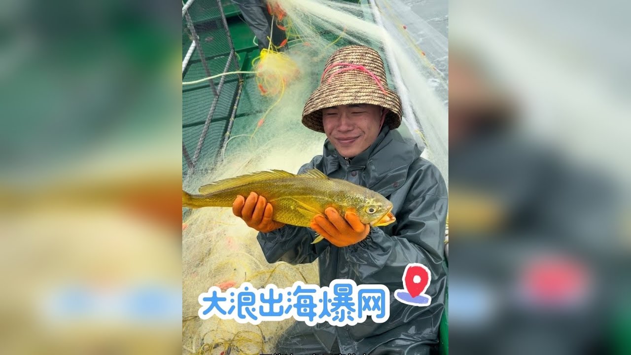 顶着巨浪出海黄花鱼大到用抄网抄一条接着一条最后连上两三、最后VIP包厢都装不下