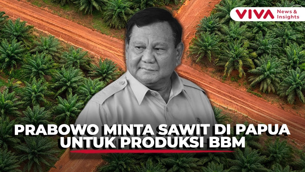 BBM dari Sawit, Prabowo Siapkan Papua Jadi Lumbung Energi