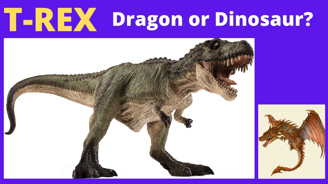 T Rex, Dragon or Dinosaur? Tyrannosaurus rex