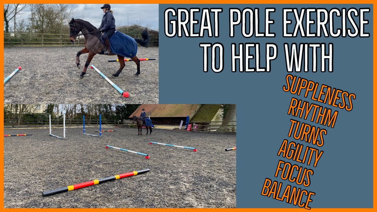 POLEWORK EXERCISE TO HELP IMPROVE YOUR HORSES Suppleness| Agility| Rhythm| Equestrian Vlog