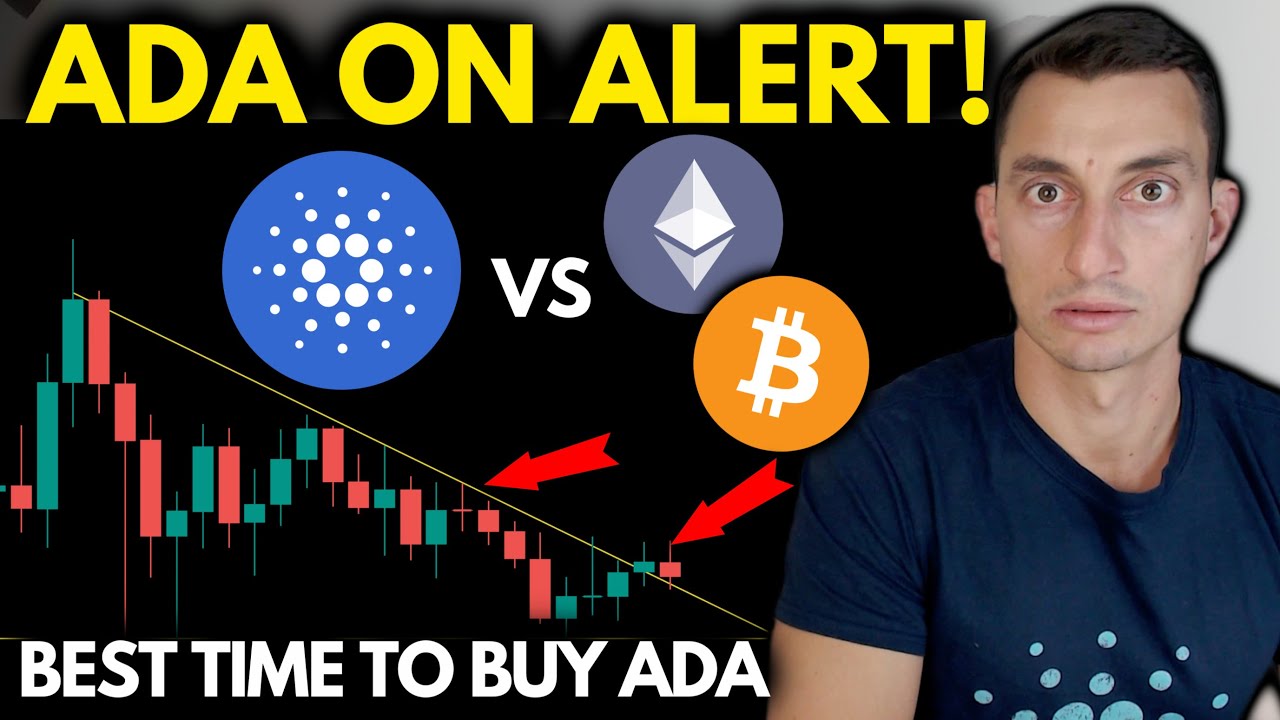 ON ALERT For ADA | Comparing CARDANO to MAJOR Cryptos and Bitcoin | ADA Staking Pool News