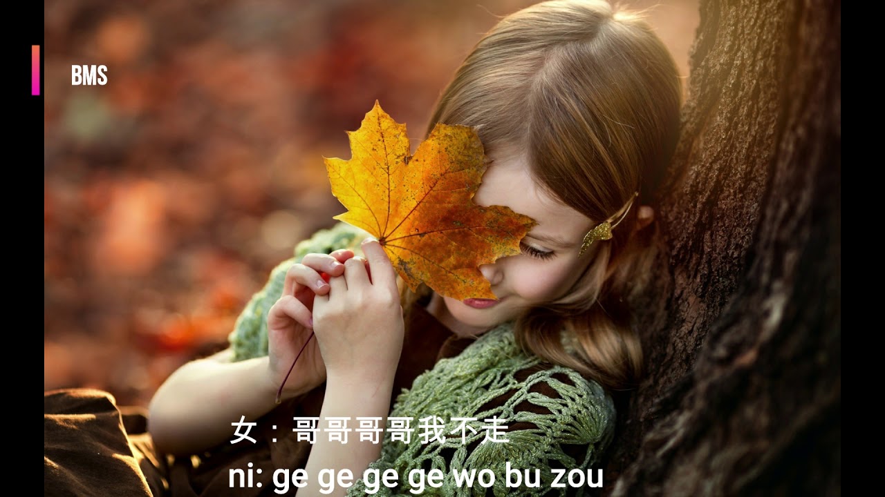 你莫走  ni mo zou - 山水组合 shan shui zu he (song version with pin yin lyrics)