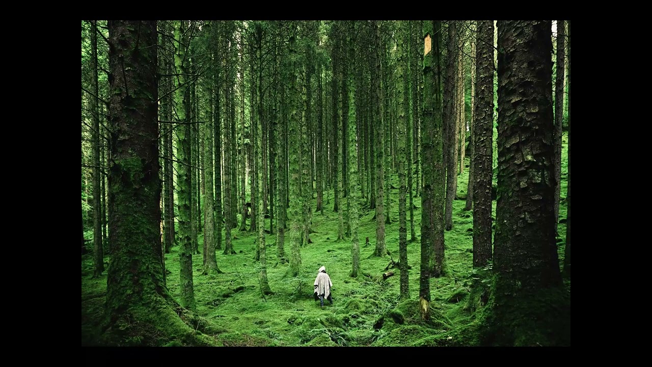 [FREE] MELODIC TYPE BEAT - 