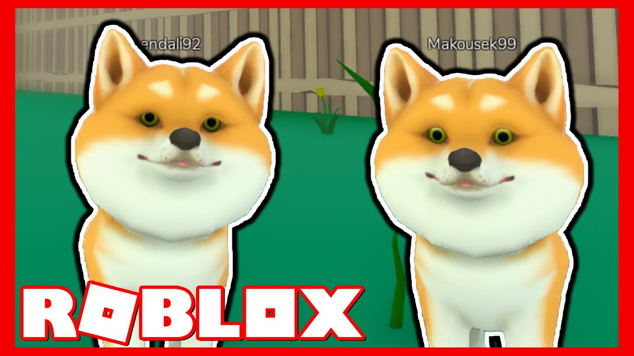 JÁ A MAKKY JSME PSI!🐶🤩 Roblox Doge Story w/@Makousek