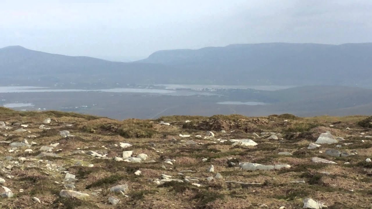 Sheep on Achill Island