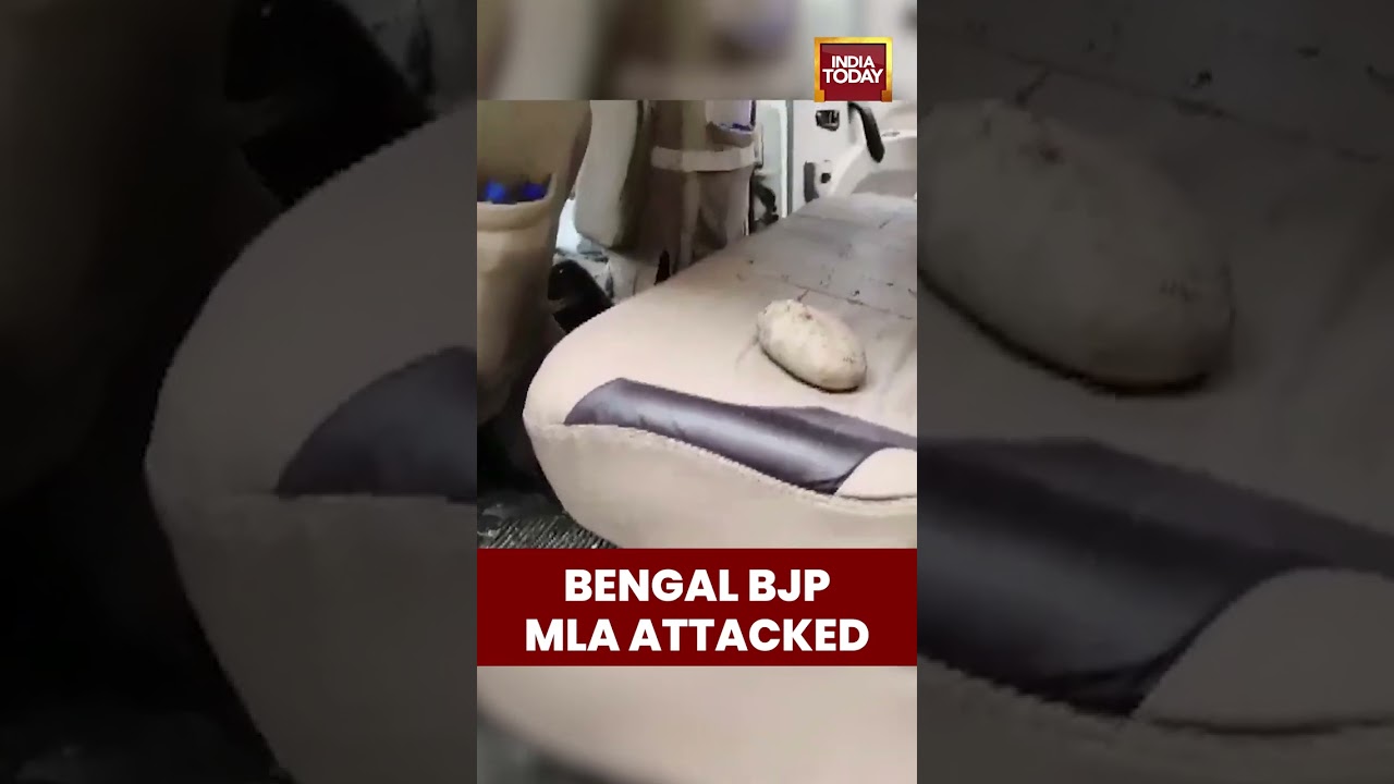BJP MLA Sankar Ghosh attacked in West Bengal | #shorts #westbengalnews #vandalism