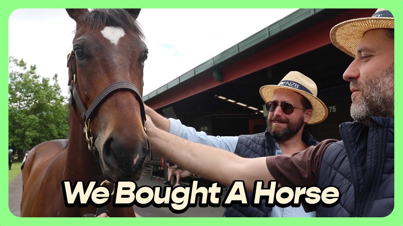 We Bought A Horse