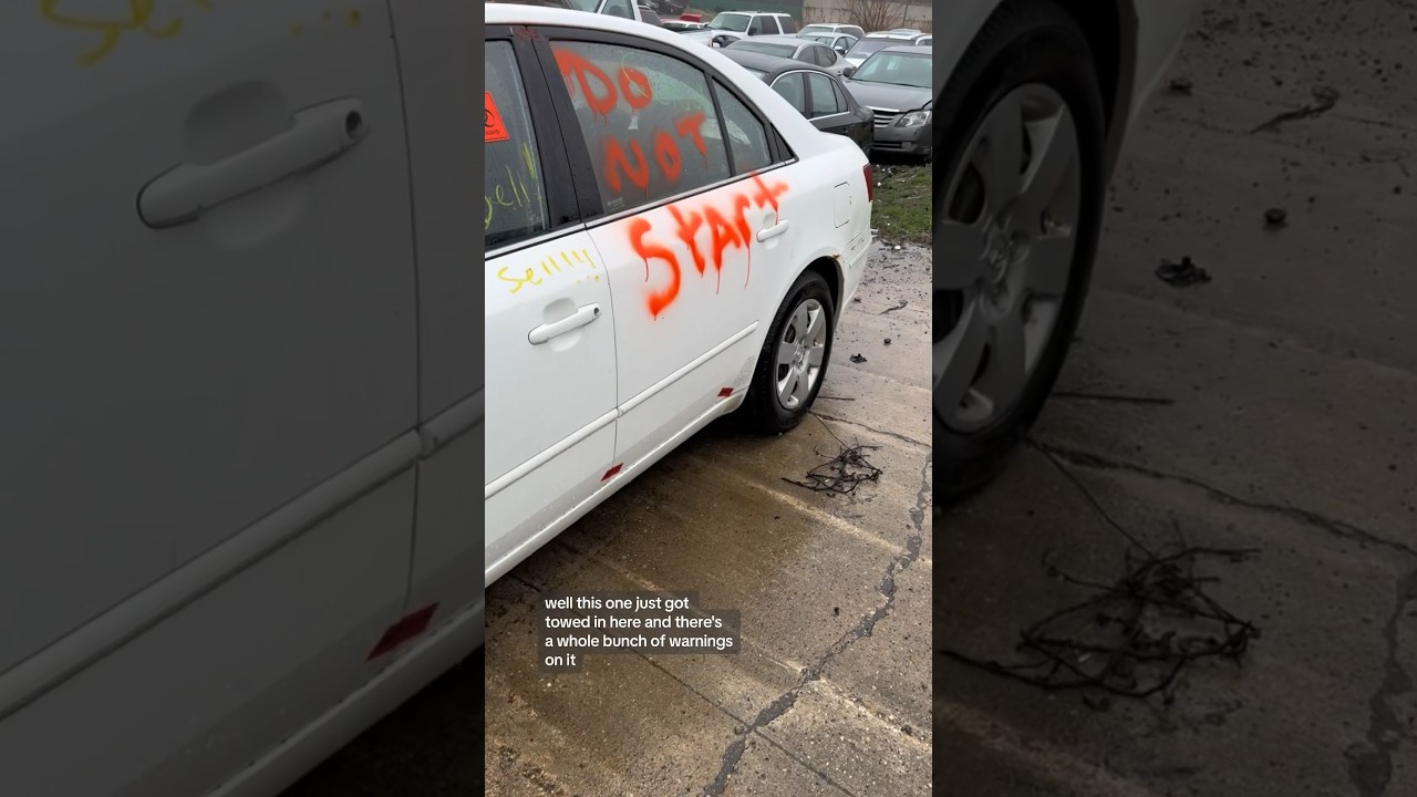 Biohazard Police Evidence Hyundai #hyundaisonata #policeevidence #biohazard #junkyard #autopartscity