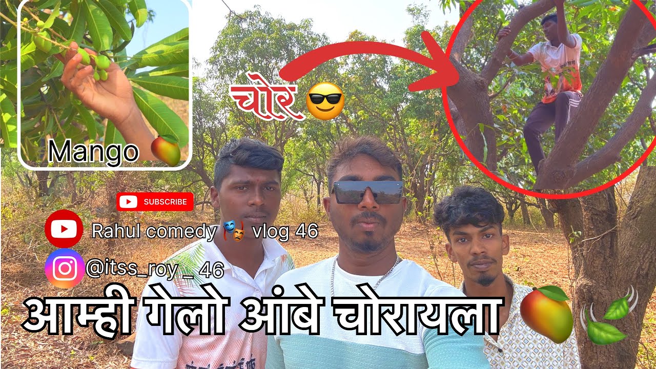 आम्ही गेलो आबे चोरायला 🍃🥭#explore #aadiwasiboy #like #comedy #vairal #funny #mango #subscriber #fun 