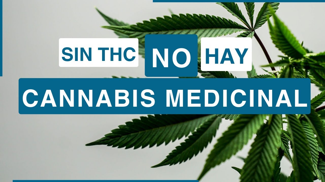 Sin THC no hay Cannabis Medicinal