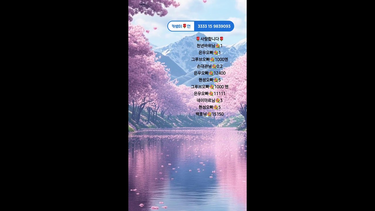 우리언니 라이브 방송