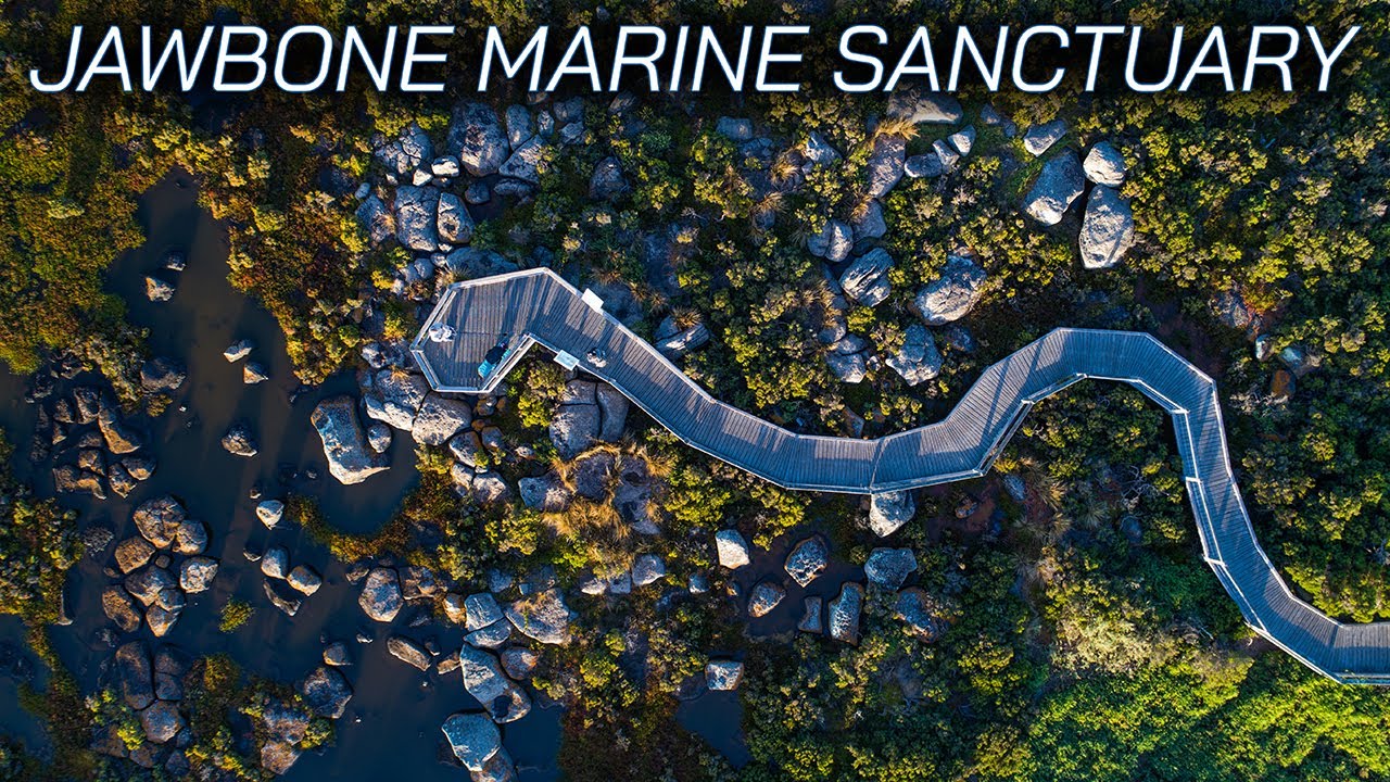 Jawbone Marine Sanctuary - Aerial exploration of Melbourne