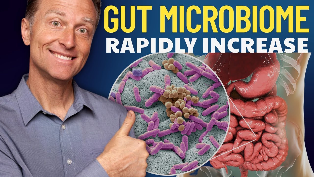 Gut Microbiome Diet: How to Improve Your Gut Microbime Diversity | Dr Berg REVEALED