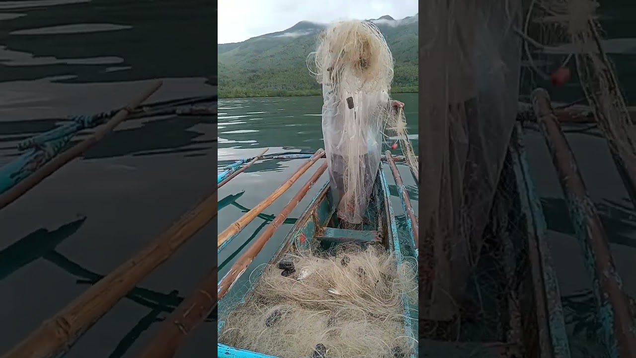 kabuddyfishing 2.0
