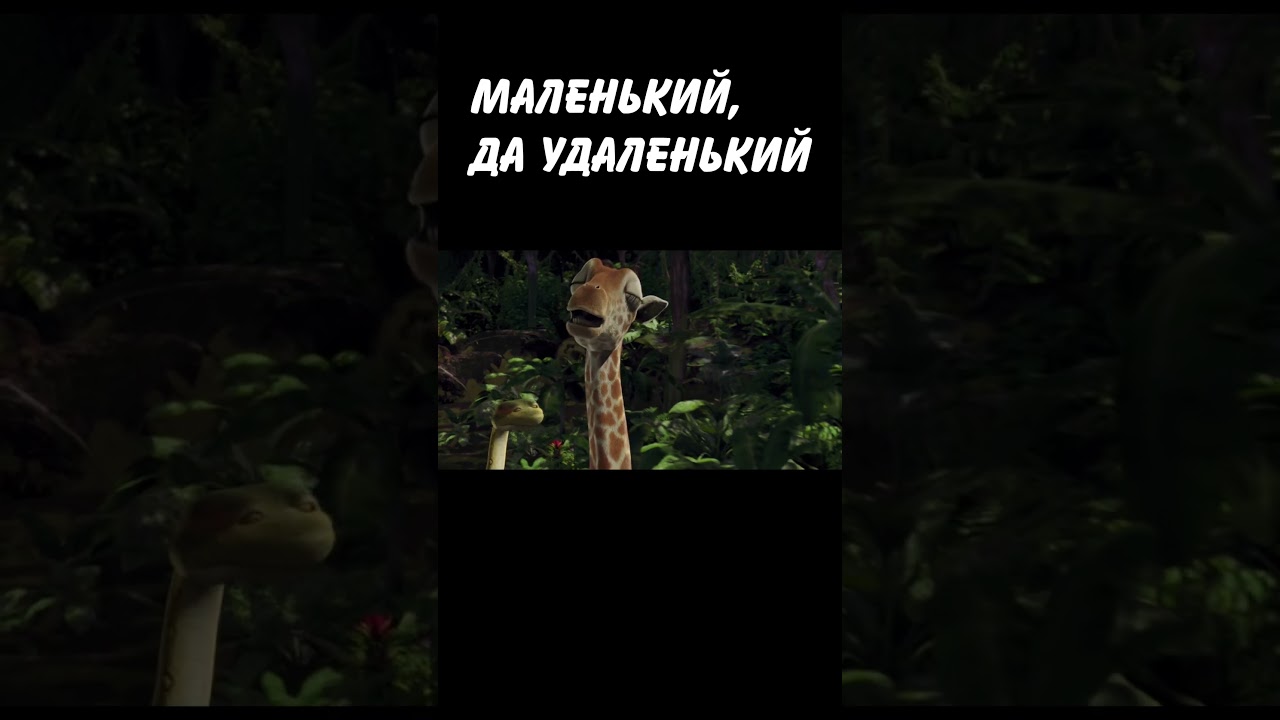 ЛИДЕРСКИЕ КАЧЕСТВА: 