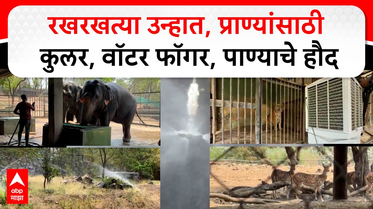Pune Weather Update : उन्हाचा कडाका वाढला, प्राण्यांसाठी विशेष व्यवस्था