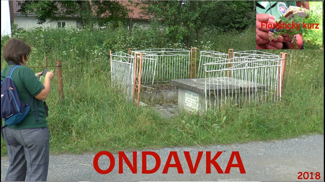 Bludárium – Ondavská vrchovina (Floristický kurz 6: Ondavka)