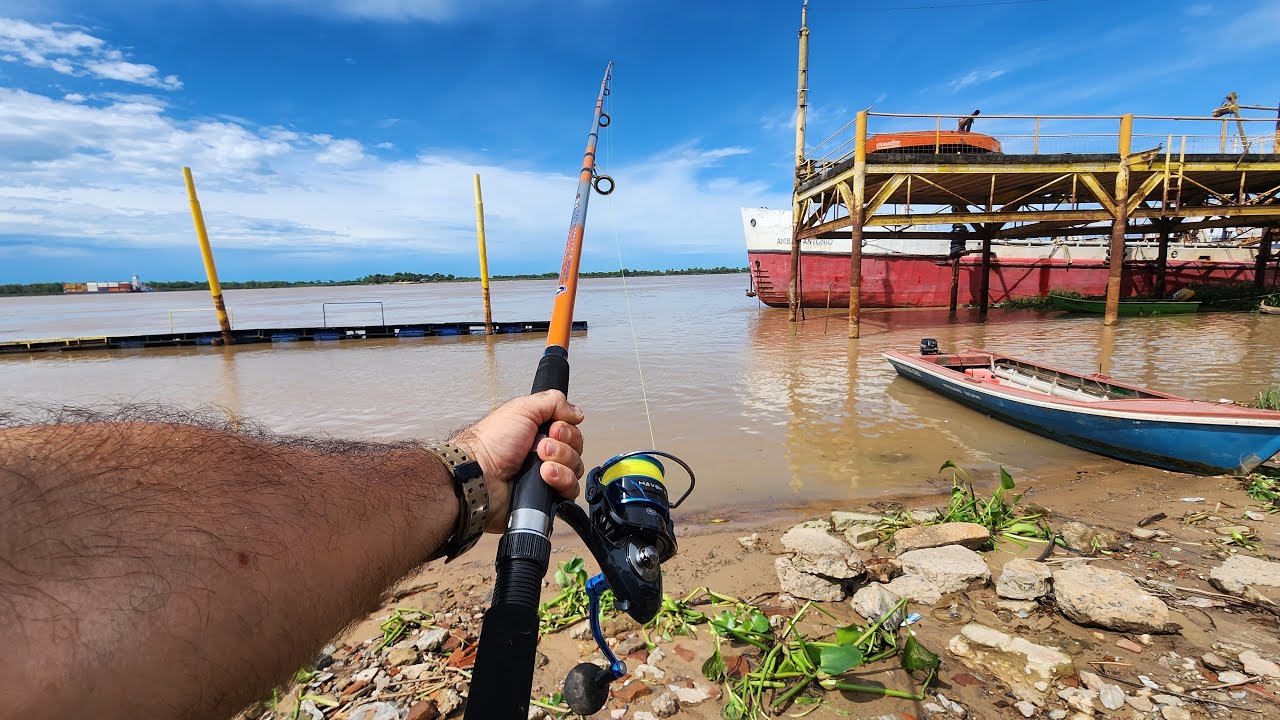 PESCA URBANA pescando en vivo pesca variada