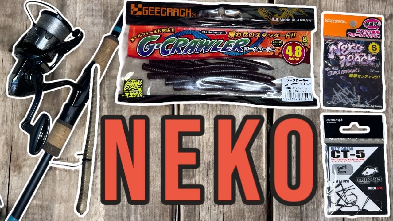 ABBORREFISKE med NEKORIGG - Mina TIPS