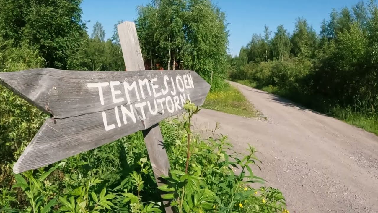 Liminganlahden lintutornit