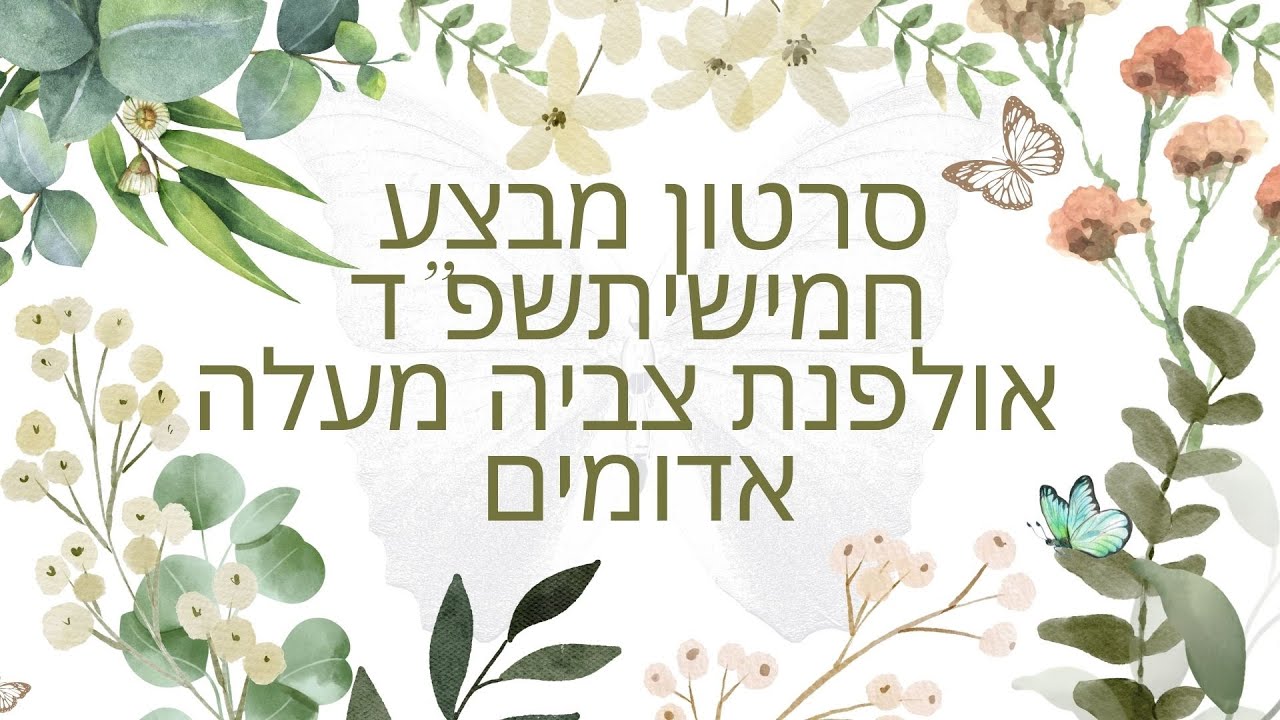 סרט מבצע חמישיתשפד אולפנת צביה מעלה אדומים