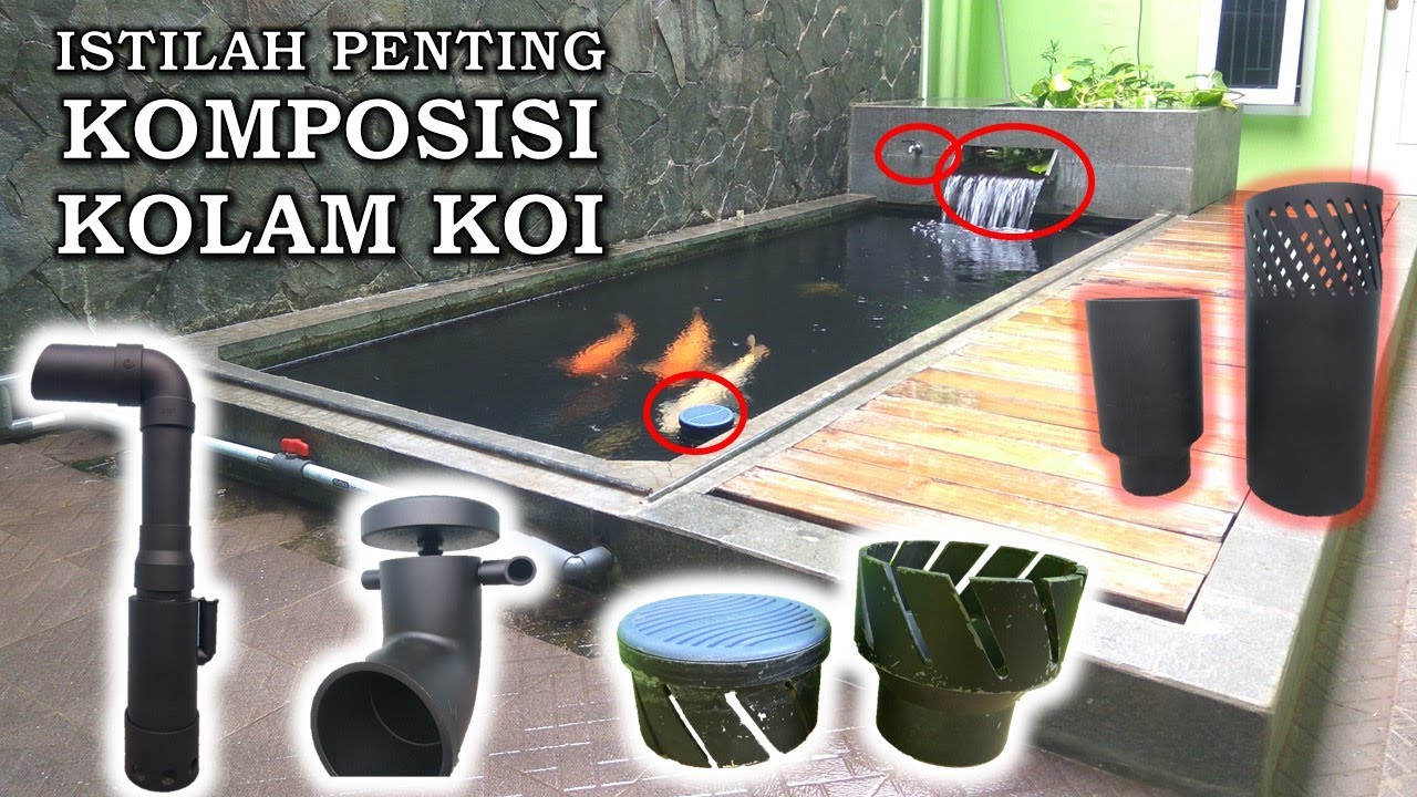 Istilah Penting dan Komposisi Filter Kolam Koi Air Jernih | Ikan Koi | Kigoi