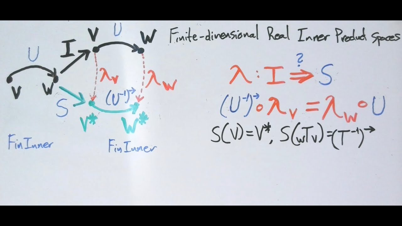 Is There a Natural Transformation from Vector Spaces to their (Single-)Dual Spaces?