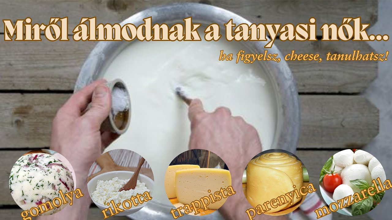 Miről álmodnak a tanyasi Nők - ha figyelsz, cheese, tanulhatsz...