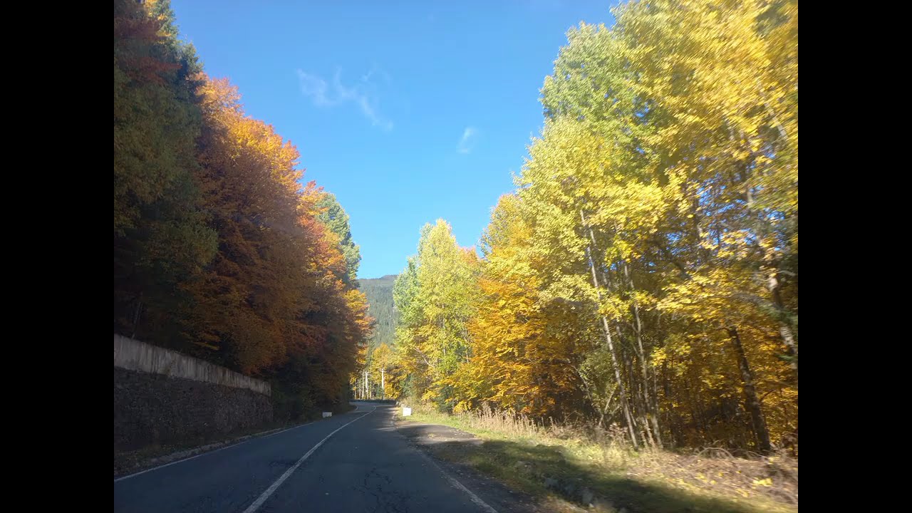 FEERIE DE TOAMNĂ PE VALEA LOTRULUI (VOINEASA - OBÂRȘIA LOTRULUI)