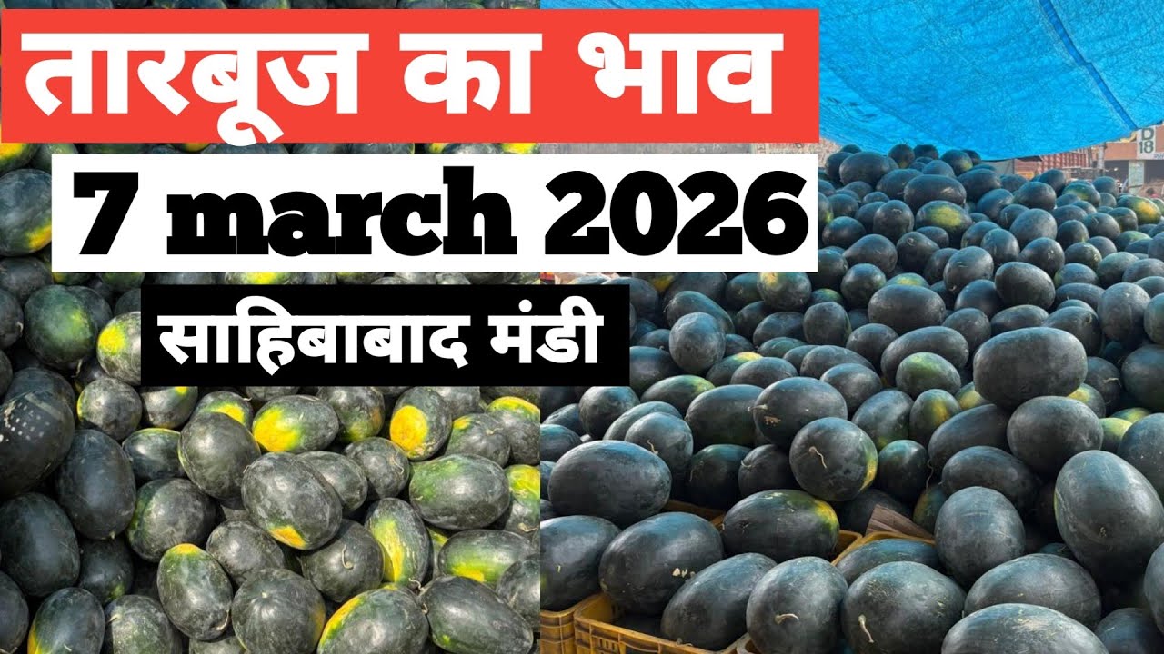 7 March 2026 🍉तारबूज़ का भाव साहिबाबाद मंडी Today Watermelon Rate in Sahibabad Mand |Bharat ke Bazar