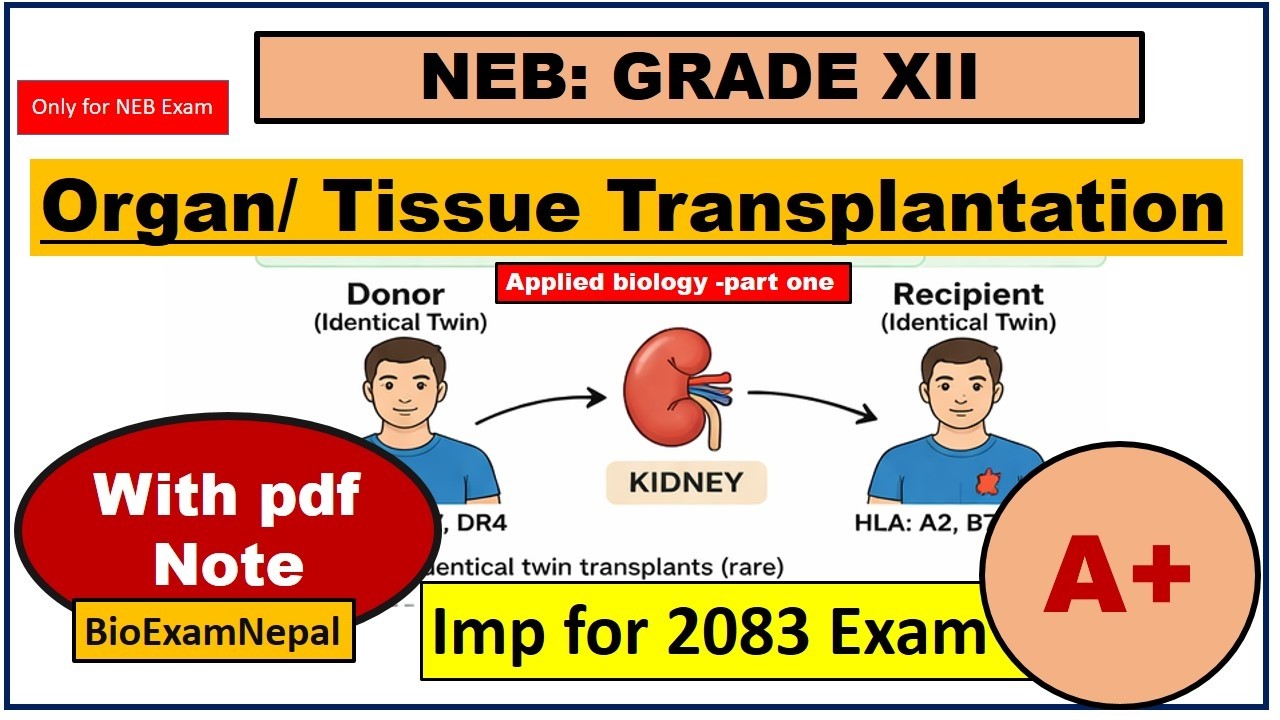 Tissue - Organ Transplantation [Applied Biology] | NEB Important chapter/ with pdf note