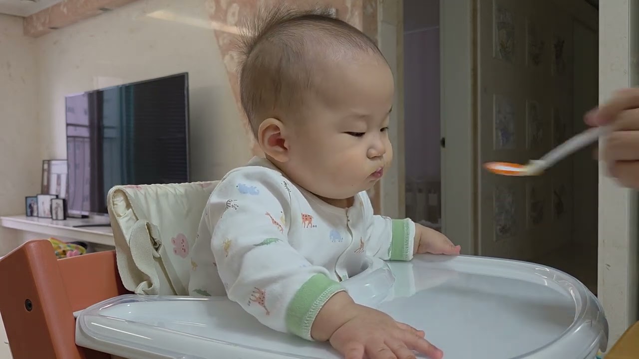[이유식] 후기 31일차(Day 300) + 아스파라거스, 아빠와 함께
