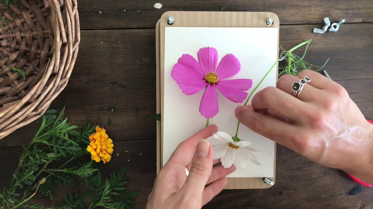 How to Flower Press