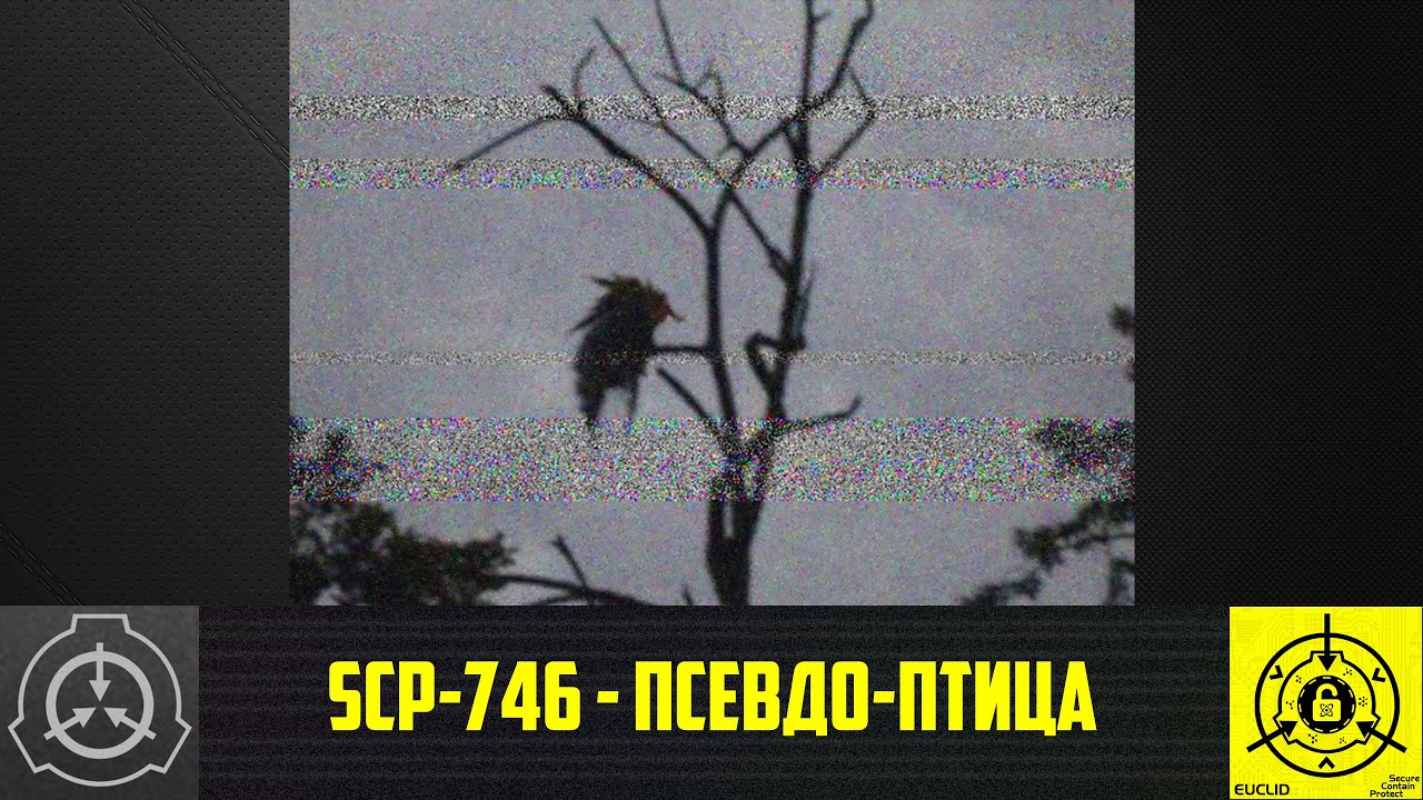 SCP-746 - Псевдо-птица      【СТАРАЯ ОЗВУЧКА】