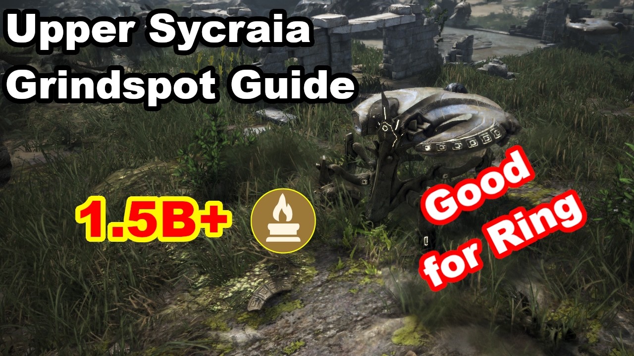 BDO Grindspot Guide ~ Upper Sycraia Ruins