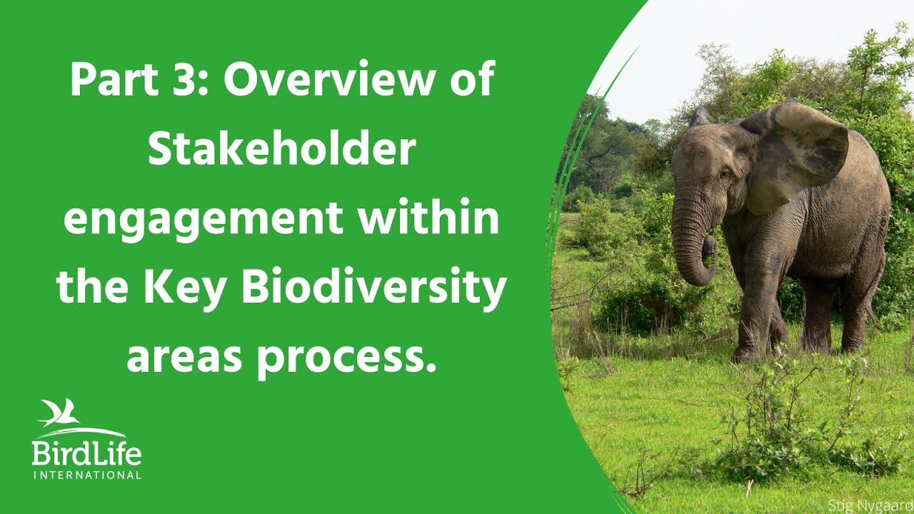 Part 3: Overview of Stakeholder engagement within the Key Biodiversity areas process.