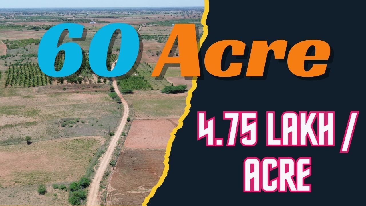 4,85 лакха за акр 60 акров Сельскохозяйственная земля #земля #сельскохозяйственныеземли #фермерст...
