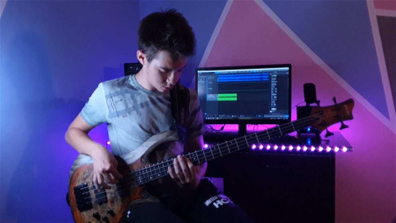 Red Hot Chili Peppers - Dark Necessities (Bass Cover)