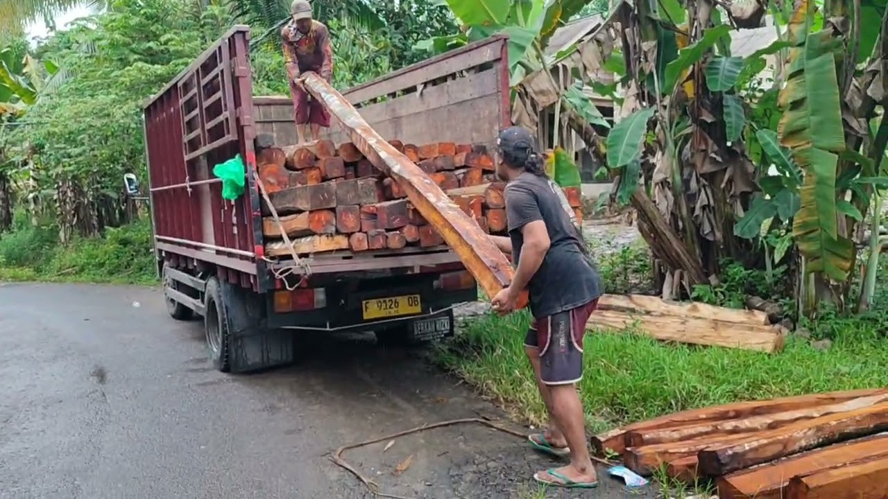 MUAT KAYU MAHUNI
