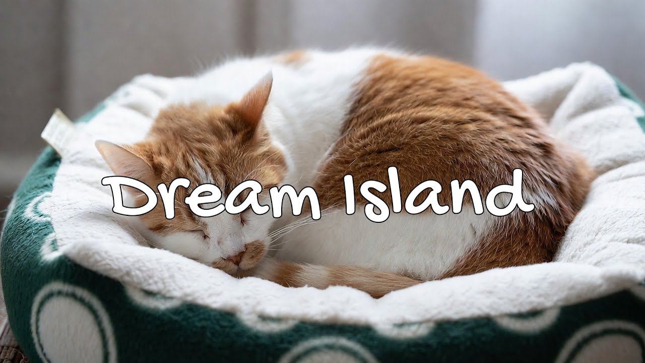 Cat Calm Night Music 🔥 Cat Sleep Music - Warm Fireplace Rest  | Season 1 | Non-Stop Chill 🍃