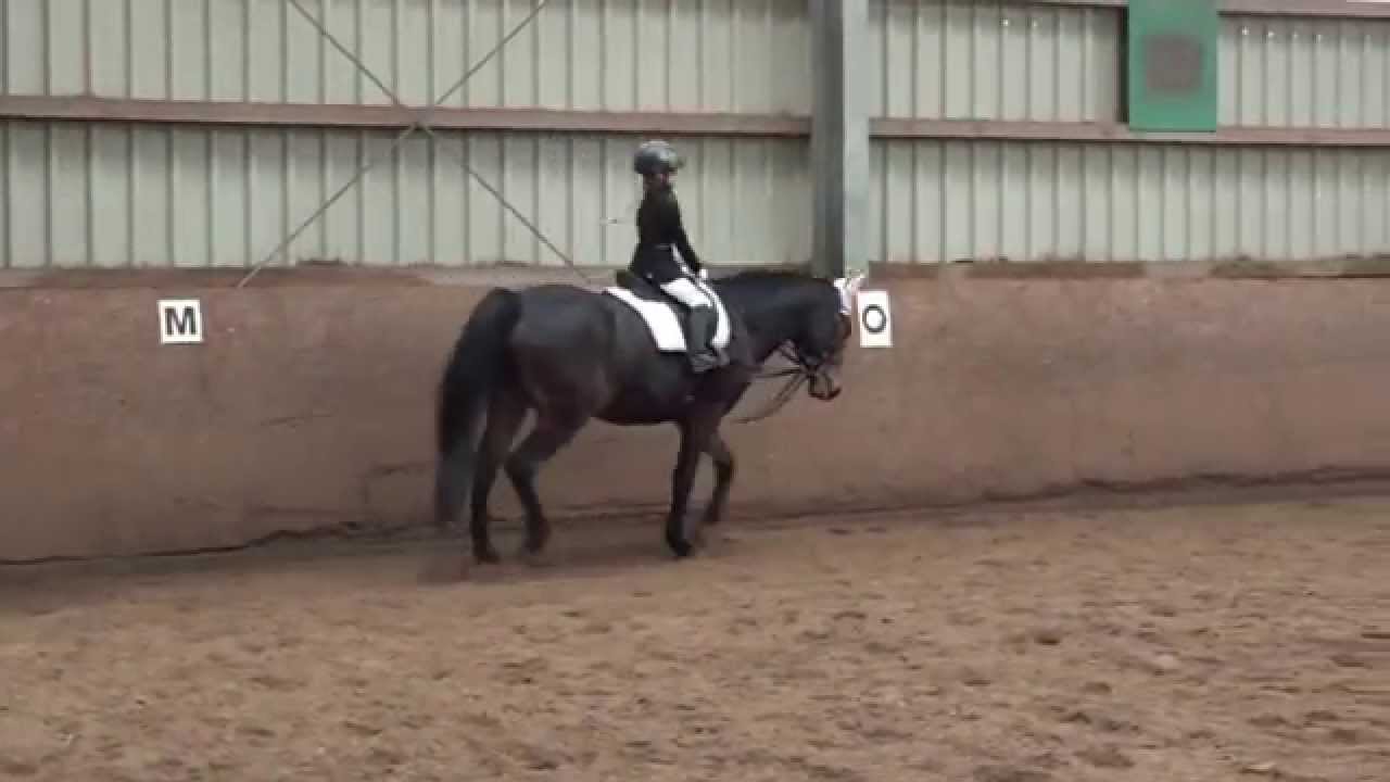 Malu (6) und Bella - Reitabzeichen 7 - Dressur am 07.11.2015