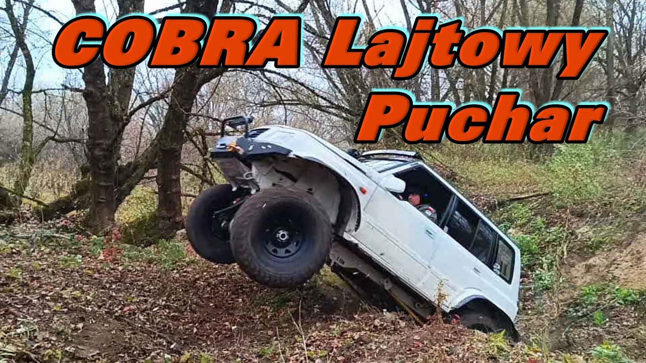 Cobra Lajtowy Puchar ed4se24