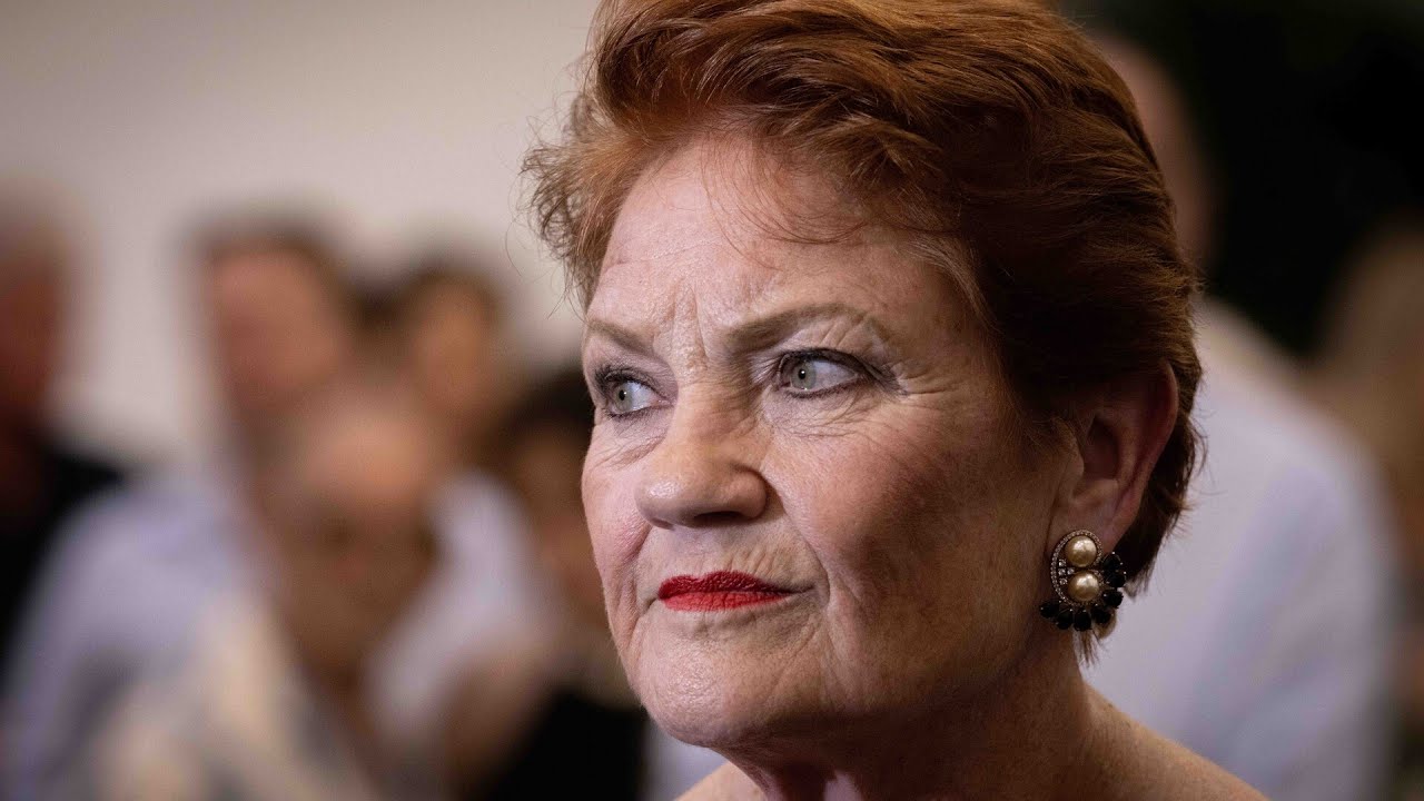 One Nation capturing the vote of average Aussies who have ‘had a gutful’
