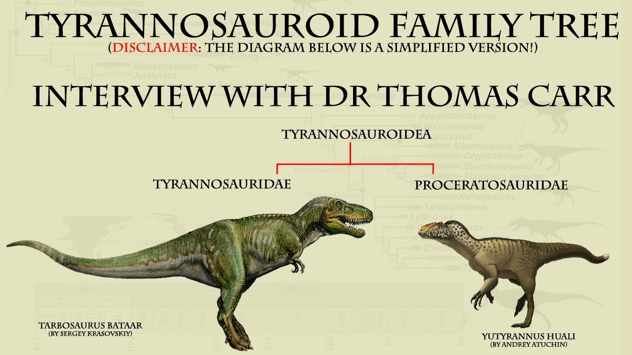 Dr Thomas Carr Interview (pt2) - Tyrannosaur Family Tree// Skin Specimens// Tyrannosaur Skin Diagram