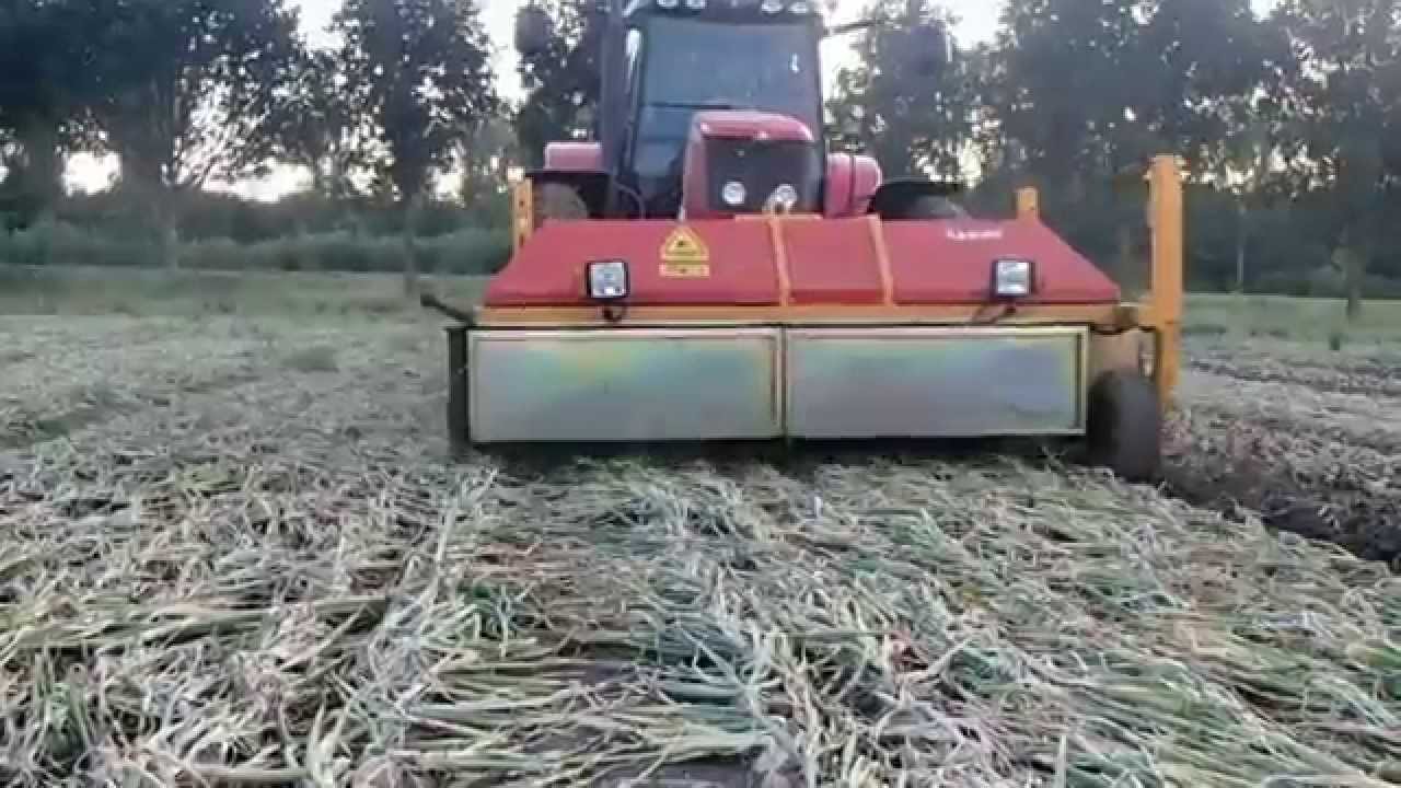 SAMON | 2.25m Onion Windrower & Onion Topper | Flevoland