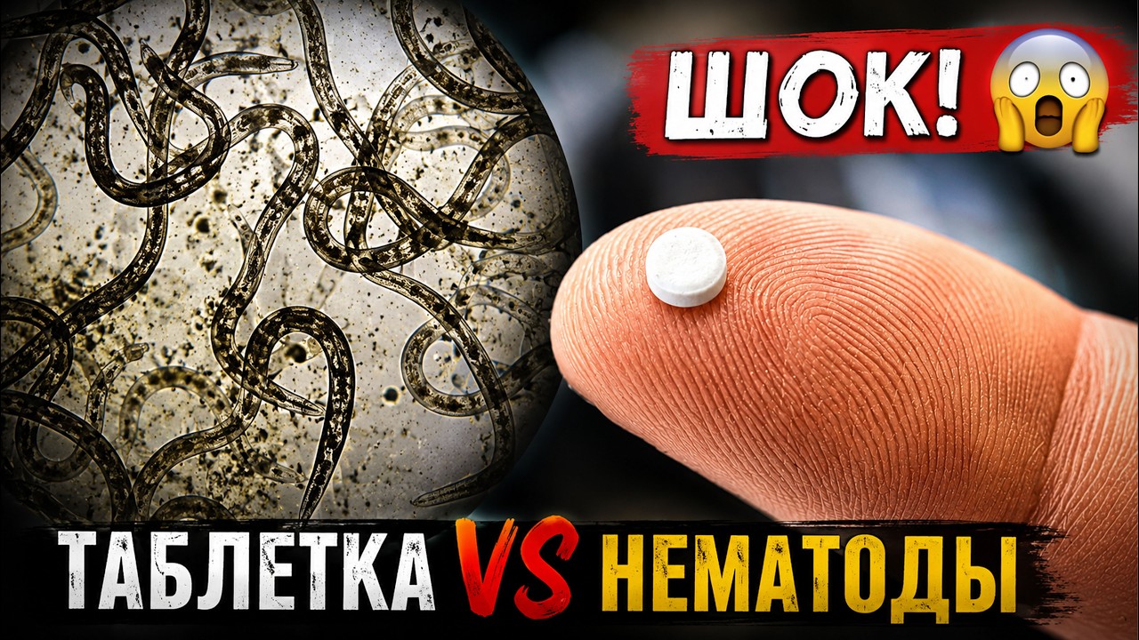 ТАБЛЕТКА-ДЕЗИНФЕКТОР против НЕМАТОД | Такого финала я не ожидал 😱